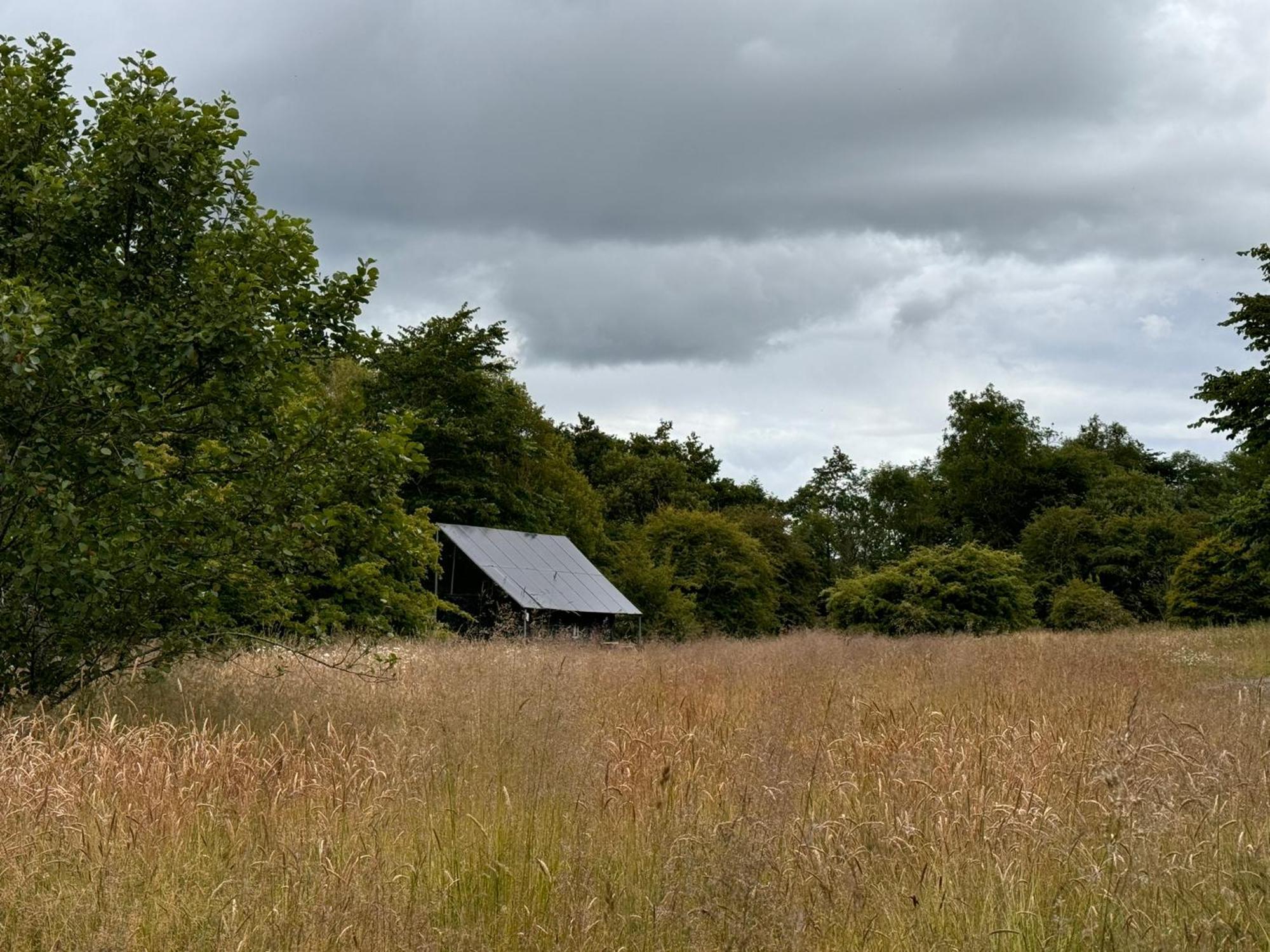Oak Nature Retreat * Dunfermline
